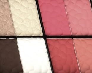 SAMIK Eye shadow blush concealer contour makeup kits full set all in one makeup set cosmetic girl makeup gift box blush set (Pink)