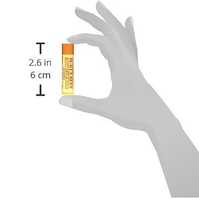 Burt's Bees Honey Moisturizing Lip Balm 0.15 oz (Pack of 12)