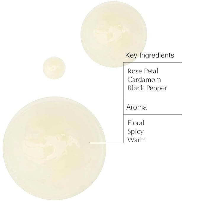 Aesop A Rose By Any Other Name Body Cleanser | Gentle Body Cleanser with Rose Petal Oil & Skin-Softening Botanicals | 16.9 oz / 500mL (Pack of 3)
