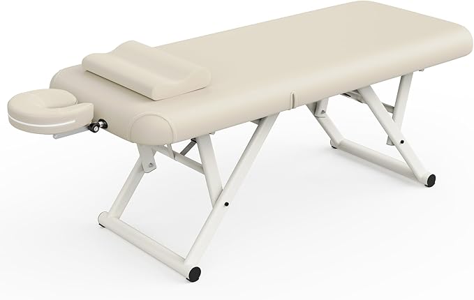 Dolonm Height Adjustable Massage Table with Face Pillow & Headrest for Treatment Table, Physical Therapy Table, Spa Facial Professional Massage Bed - Adjustable Backrest, Beige Gray