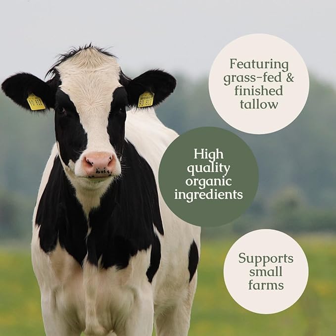 Handmade Whipped Tallow Balm (Unscented/Herb-Infused) - Organic Body Butter with Infused Olive Oil, for Eczema, Rosacea, Baby - 1.3 oz