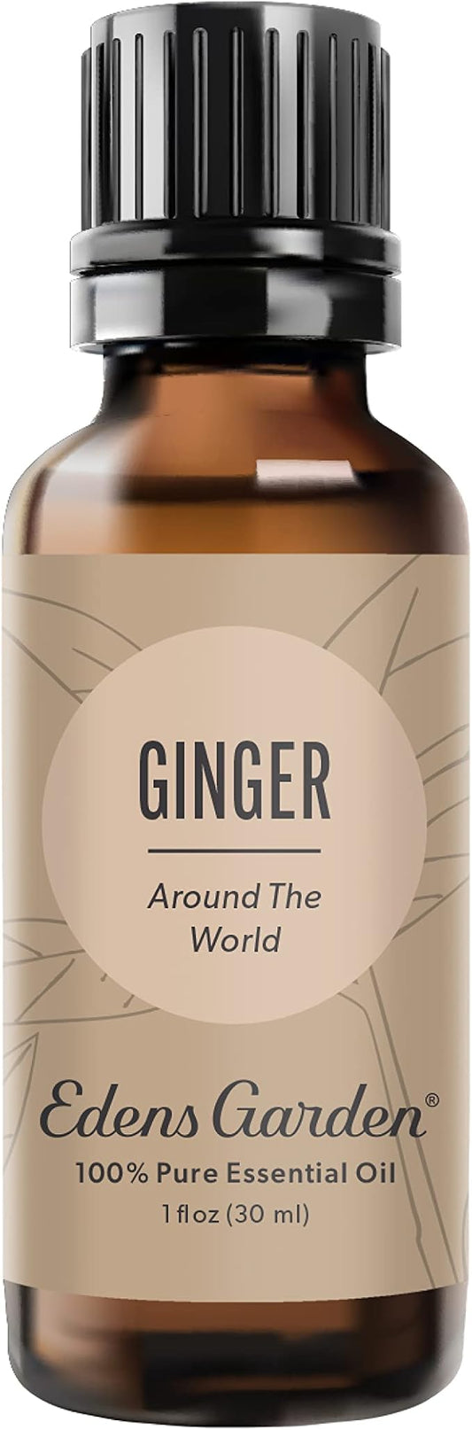 Edens Garden Ginger Around The World Essential Oil- 100% Pure Premium Grade, Undiluted, Natural, Therapeutic, Aromatherapy, The Best for Diffuser, Skin, Candle, Laundry 30 ml (1 fl oz)
