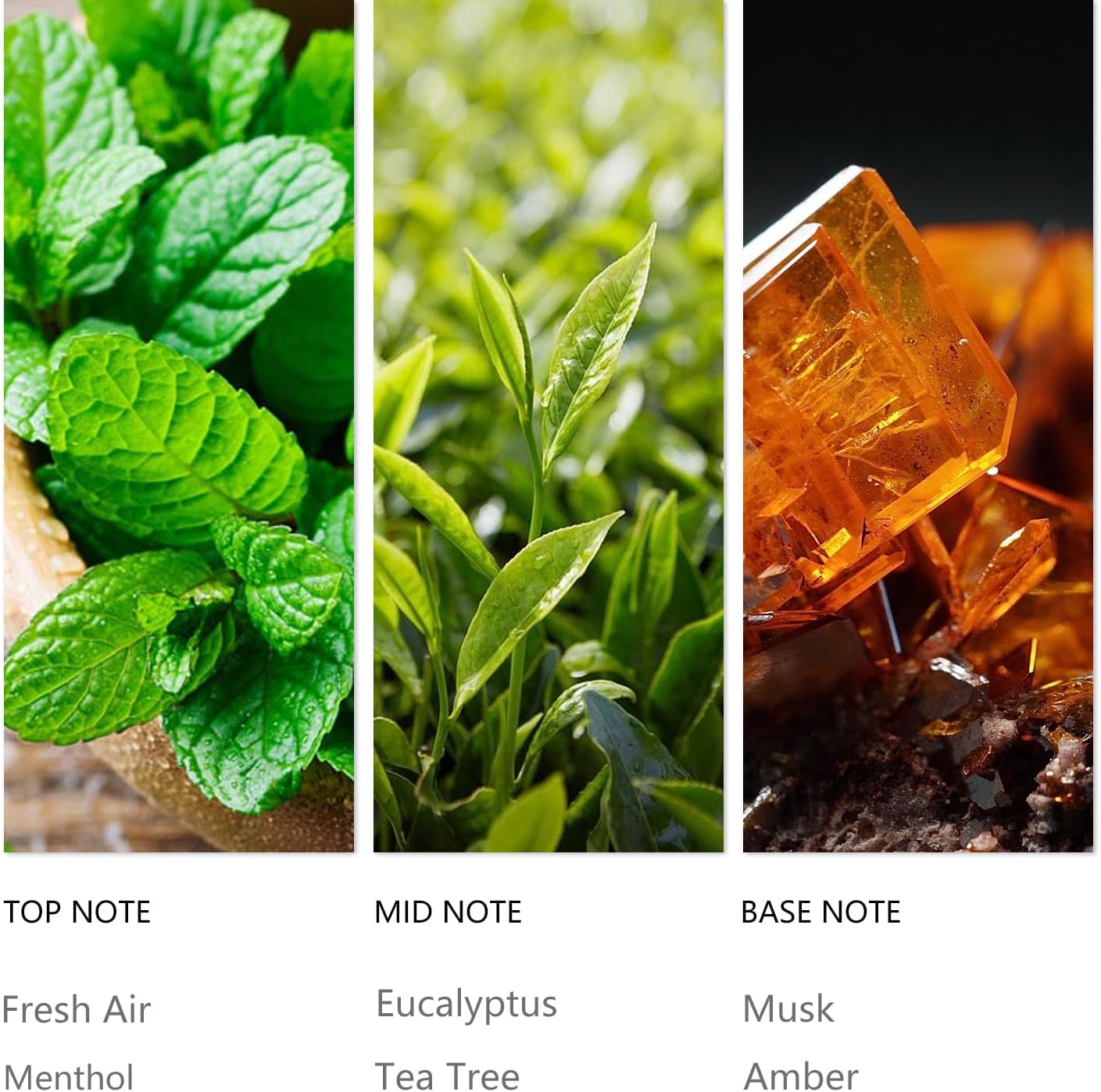 Luxury Waterless Diffuser Oil Infinity, Essential Scent Oil Usage Cold Air Waterless Diffuser, Scents Oils for Home Bottle120 ML Natural Flavour