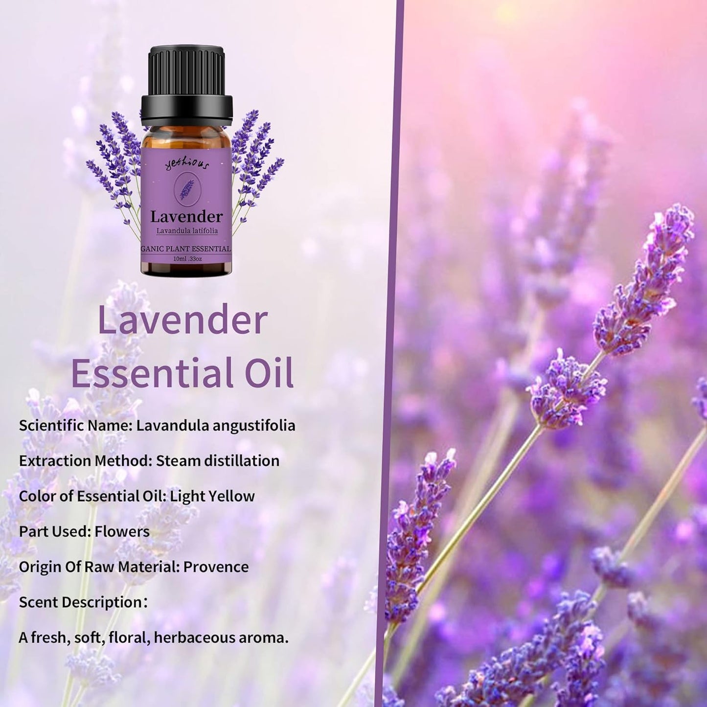 yethious Sandalwood Lavender Essential Oil Set 2 Pack 100% Pure Organic Sandalwood Essential Oil Undiluted Lavender Aromatherapy Oils for Diffuser, Perfume, Soap, Candle Making 2 x 10ML
