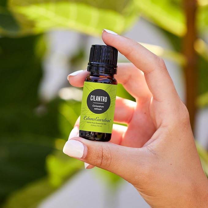 Edens Garden Cilantro Essential Oil- 100% Pure Premium Grade, Undiluted, Natural, Therapeutic, Aromatherapy, The Best for Diffuser, Candle, Laundry, Kid Safe 30 ml (1 fl oz)