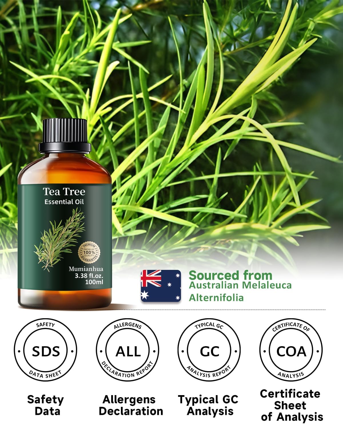 Tea Tree Essential Oil Pure Mumianhua Natural Tea Tree Oil for Diffuser, Aromatherapy, Skin, Face, Toenails, Foot Soak and DIY Soap Making 3.38 Fl Oz