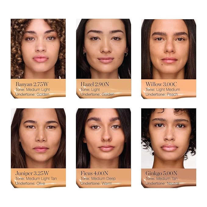 Ogee Complexion Perfecting Under Eye Concealer - Certified Organic Full Coverage Concealer - Buildable Coverage - GINGKO 5.00N - Medium Tan (Neutral Undertones)