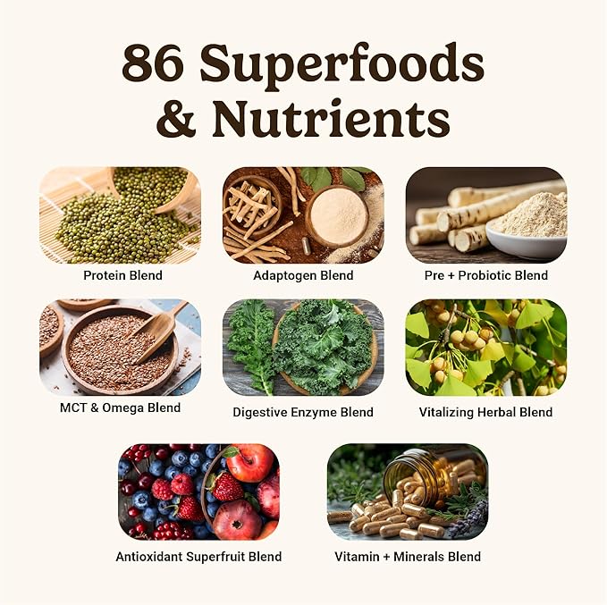 VitaHustle ONE Max Protein Powder, 30g Plant Protein + 5g Creatine, All-in-One Meal Replacement Shake with Greens, Adaptogens, Ashwagandha, Probiotics & Vitamins – Vanilla Ice Cream, 15 Servings