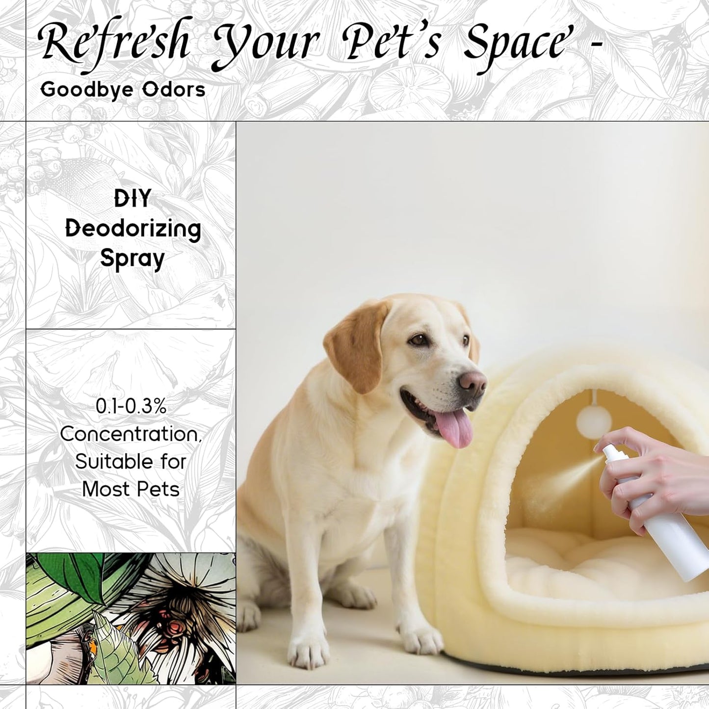 HIQILI Aqueous Bloom Fragrance Oil for Diffusers, Black Currant Leaf & Jasmine, Candles & Soap Making, Long-Lasting Scent - 1 Fl Oz