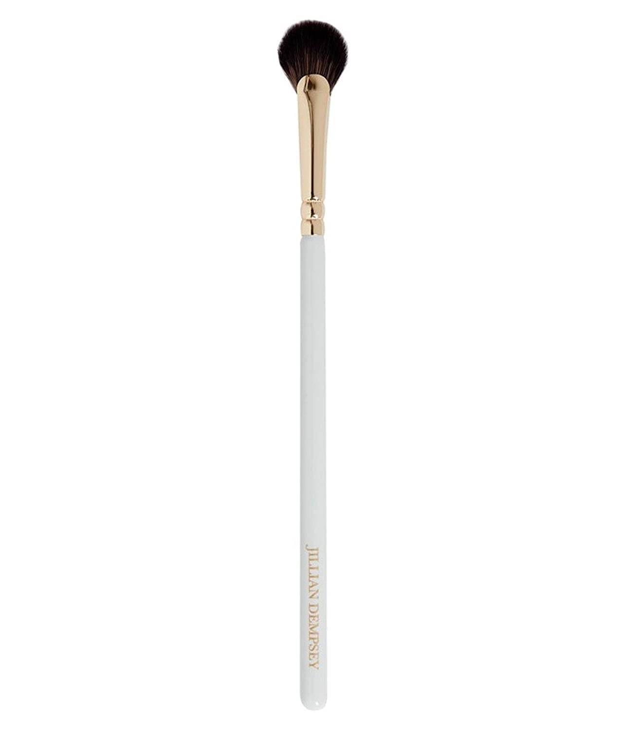 Jillian Dempsey Mini Fan Eye Makeup Brush: All in One Eyeshadow Makeup Brush: Multi-Functional Synthetic Vegan Eye Shadow Brush