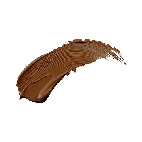 Perfection Multi-Use Concealer (COLOR - EBONY FCPF12)
