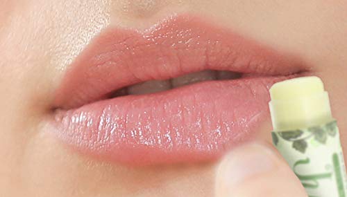 Just Bee Lip Balm (Peppermint, Honey, Citrus, Vanilla, 4 pack)