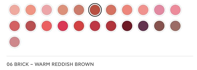 Radiant Professional Advanced Care Lipstick - Ultra Nourishing, Moisturizing Long Lasting Matte Lipstick With Vitamin E- UVA UVB Filters For Sun Protection- VELVET (06 BRICK – WARM REDDISH BROWN)