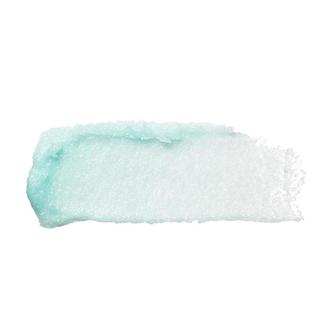 ELF Pack of 2 E.l.f. Lip Exfoliator, Mint Maniac 82512
