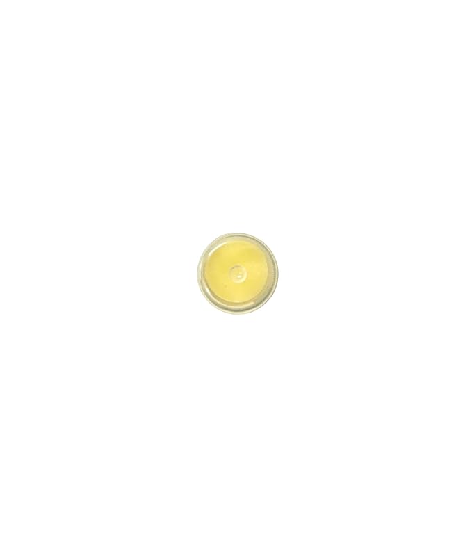 LIP BALM Mongo Kiss 6-Pack by Eco Lips 100% Organic Beeswax & Cocoa Butter Lip Care with Mongongo Oil - Soothe & Moisturize Dry & Cracked Lips - Made in USA. (Unflavored)