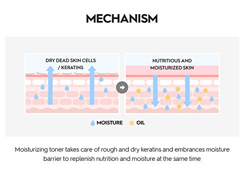 Snp 6 Peptides + 5 Hyaluronic Acid Facial Toner | Moisturizing, Soothing & Firming Korean Skincare for Dry & Sensitive Skin | Daily Face Toner | Peptaronic | 10.8 Fl Oz