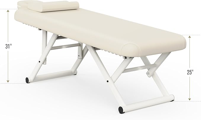 Dolonm Height Adjustable Massage Table with Face Pillow & Headrest for Treatment Table, Physical Therapy Table, Spa Facial Professional Massage Bed - Fixed Backrest, Beige Gray