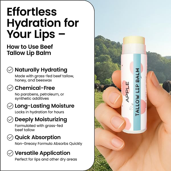 Tallow Lip Balm by Cattle Creek – Organic, All-Natural Ingredients, Long-Lasting Moisture and Hydration for Dry, Cracked, and Chapped Lips, Soothing Formula for Soft Skin (Pack of 3, Apple)