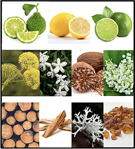 FILA RED Fragrance for Men - Eau de Toilette Spray with Notes of Bergamot, Jasmine, Nutmeg, Sandalwood, and More - Sport-Inpired Scent for Day or Night - 3.4 oz.