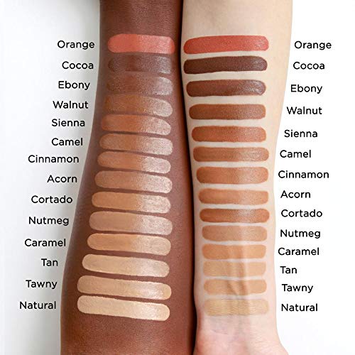Perfection Multi-Use Concealer (COLOR - EBONY FCPF12)