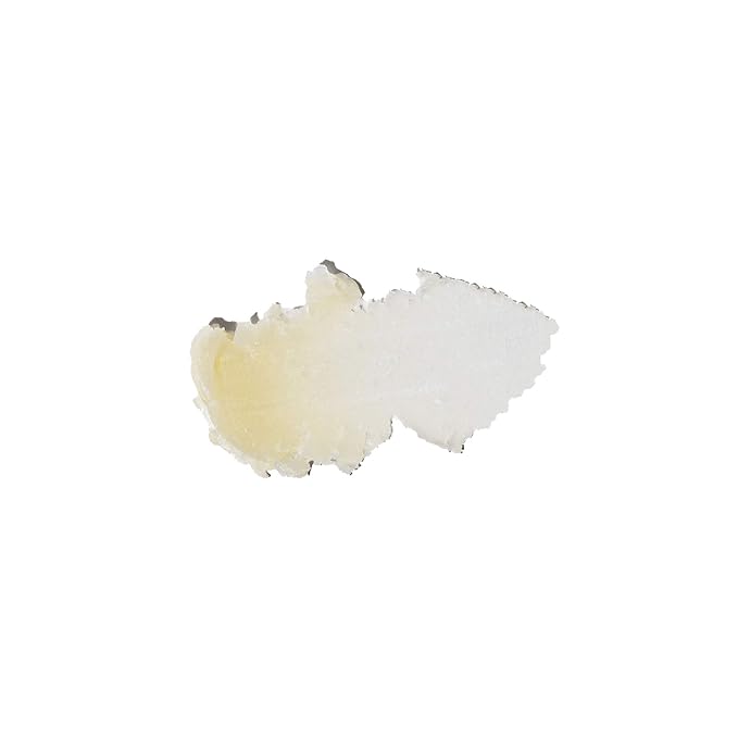 Sun Bum Wild Strawberry Cocobalm | Hydrating Lip Balm with Aloe | Paraben Free, Silicone Free,| 0.15oz Stick