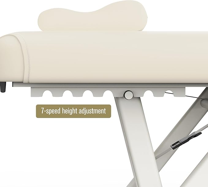 Dolonm Height Adjustable Massage Table with Face Pillow & Headrest for Treatment Table, Physical Therapy Table, Spa Facial Professional Massage Bed - Fixed Backrest, Beige Gray