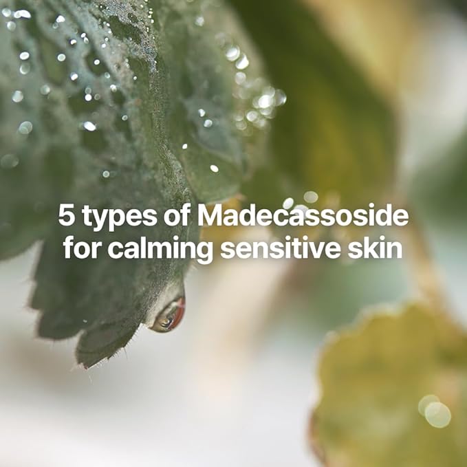 PYUNKANG YUL Calming Line Gift Box Set-Korean Facial Skin Care Essential for Daily Moisturizing with Toner, Serum, Cream, Safe on Acne Prone & Sensitive Skin, Vegan & Cruelty Free