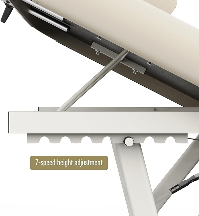 Dolonm Height Adjustable Massage Table with Face Pillow & Headrest for Treatment Table, Physical Therapy Table, Spa Facial Professional Massage Bed - Adjustable Backrest, Beige Gray