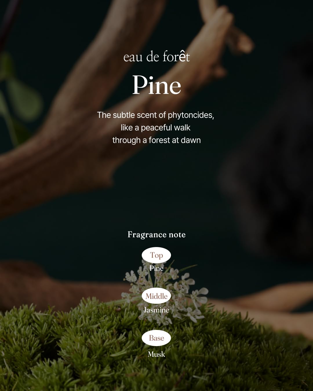 [Follie] eau de foret - Feminine Inner Beauty Perfume (for Underwear), Gentle phytoncide fragrance Scents Fragrance, 5ml(0.169 fl oz)