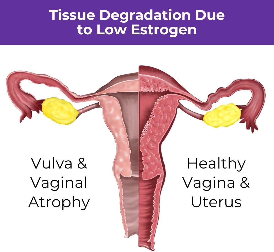Menopause Rebalancing Bundle: Silky Peach Estriol Cream & Vibrant Third Progesterone Cream for Women. Bioidentical Estrogen & Progesterone for Hot Flashes, Vaginal Dryness, Sleep Issues & Brain Fog