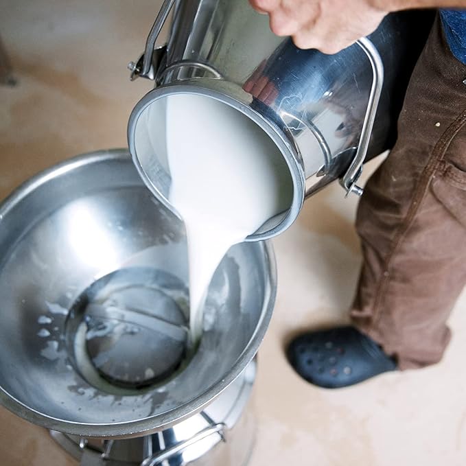 Little Seed Farm Organic Goat’s Milk Soap – 3 Pack of Rosemary Mint Exfoliating Body Bars – Natural, Handmade, Cruelty Free – Energizing and Toning Scrub – Suitable for Sensitive Skin, Net Wt. 4.75oz