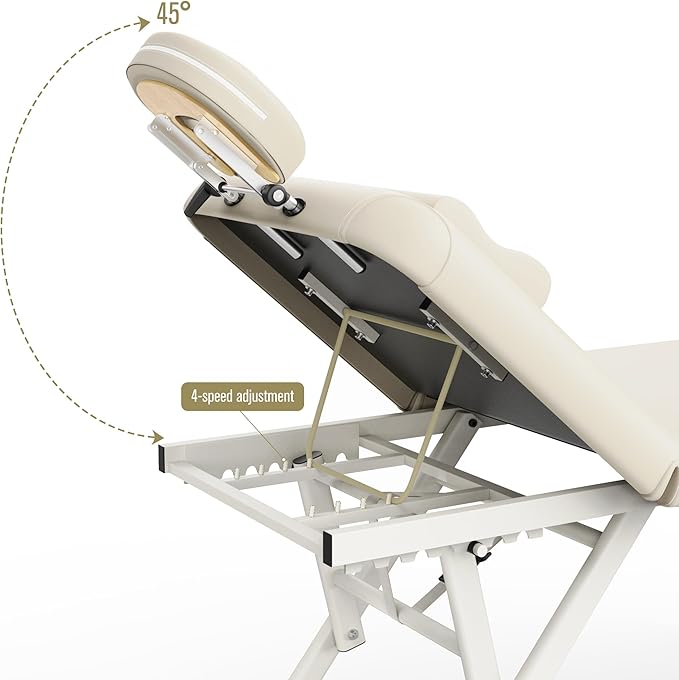 Dolonm Height Adjustable Massage Table with Face Pillow & Headrest for Treatment Table, Physical Therapy Table, Spa Facial Professional Massage Bed - Adjustable Backrest, Beige Gray
