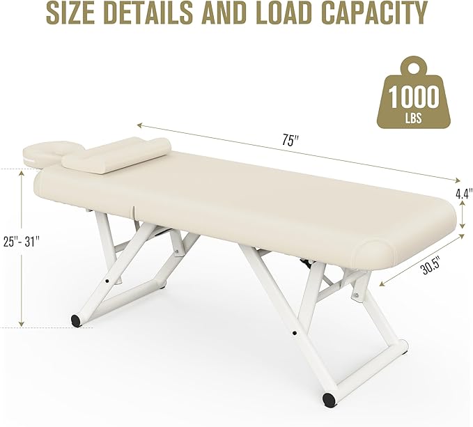 Dolonm Height Adjustable Massage Table with Face Pillow & Headrest for Treatment Table, Physical Therapy Table, Spa Facial Professional Massage Bed - Adjustable Backrest, Beige Gray