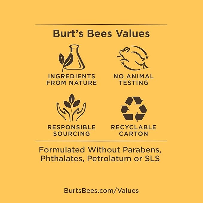 Burt's Bees Lip Balm - Mango, Lip Moisturizer With Responsibly Sourced Beeswax, Tint-Free, Natural Origin Conditioning Lip Treatment, 2 Tubes, 0.15 oz.
