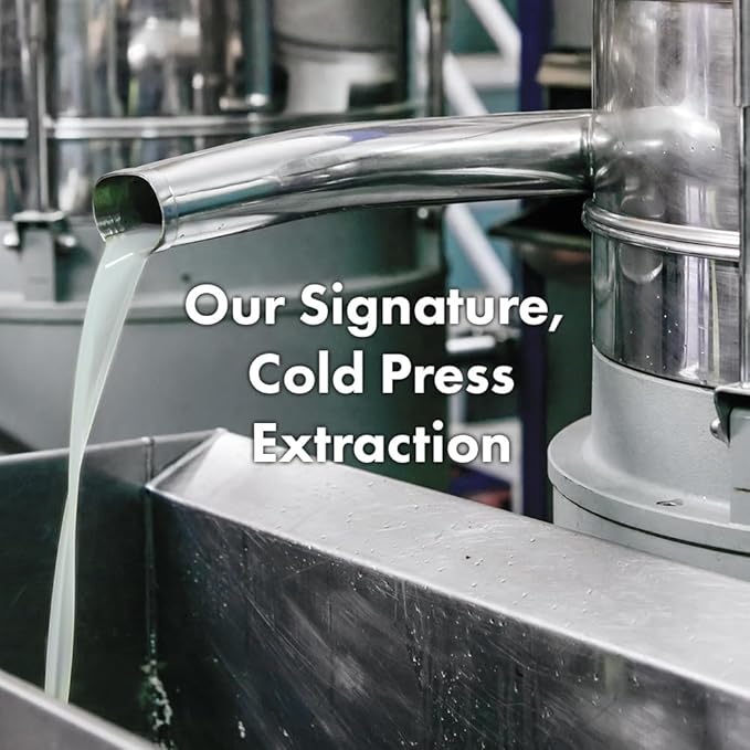 RATED GREEN Real Shea Cold Press Nourishing Shampoo w. Sunflower Seed Oil | Vitamin E | Deep Moisture & Soothing Care for Dry, Damaged Hair | Silicone-Free, Korean Vegan Formula | 13.52 fl oz