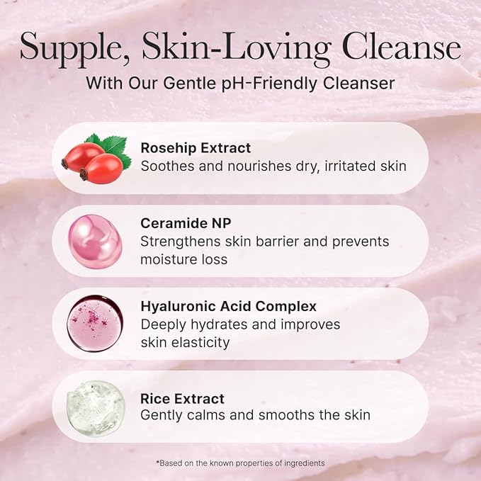 Rosehip Rice Cake Cleanser, pH Balancing Face Wash with Ceramide for Sensitive Skin, 5.29 oz