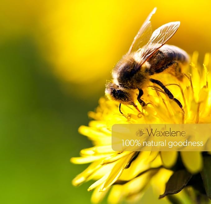 Waxelene Multi-Purpose Ointment, Organic, Lip Tube, Single