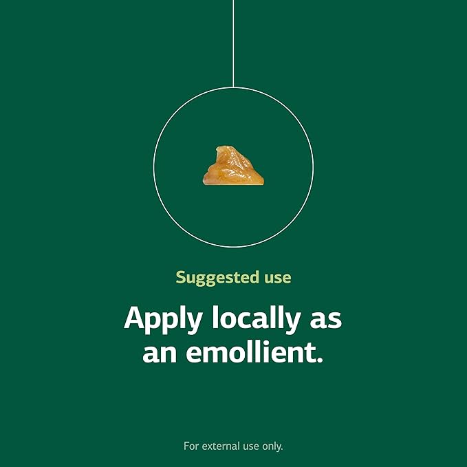 Standard Process USF Ointment - Supports Soft, Healthy Skin - Moisturizing Skin Cream for Dry Hands & Body - 1.8 oz