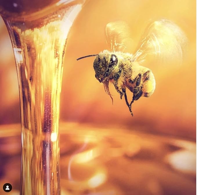 Just Bee Lip Balm (Peppermint, Honey, Citrus, Vanilla, 4 pack)