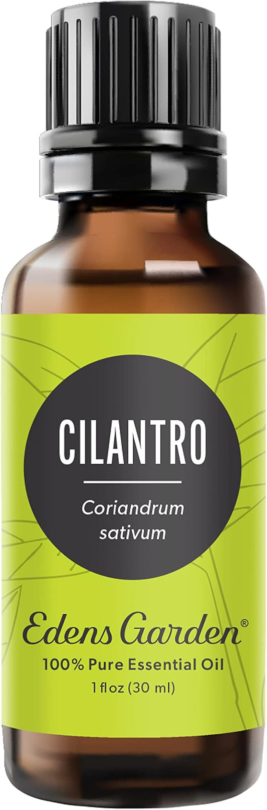 Edens Garden Cilantro Essential Oil- 100% Pure Premium Grade, Undiluted, Natural, Therapeutic, Aromatherapy, The Best for Diffuser, Candle, Laundry, Kid Safe 30 ml (1 fl oz)