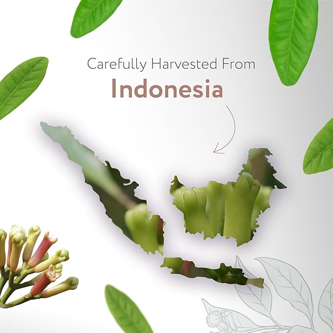 HBNO Organic Clove Bud Essential Oil - 4 oz (120ml) - USDA Certified Organic Clove Bud Essential Oil, Soap Making, DIY, Fragrances, Diffuser