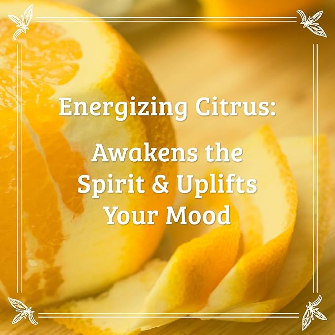 Pharmacopia Citrus Conditioner - Natural Scalp Moisturizer, Vegan & Cruelty-Free Hair Care with Shea Butter, Aloe Vera, Jojoba Oil, and Olive Leaf Extract for Dry Hair Treatment and Detangling, 16 oz