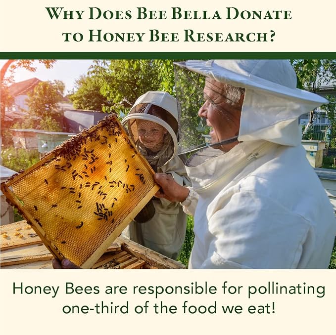 Bee Bella Lip Balm Variety Pack Gift Set, Cherry, Pomegranate Mango, Vanilla Bean, Peppermint, & Lavender Vanilla, 5 Pack - Hydrating, Moisturizing, Natural, Organic Beeswax, Vitamin E, Made in USA