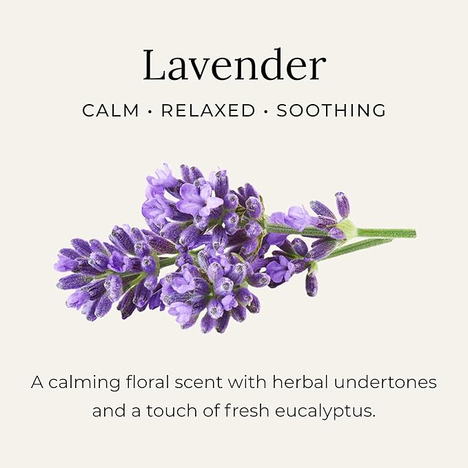 Little Seed Farm All Natural Deodorant Cream, Aluminum Free Deodorant for Women or Men, 2.4 Ounce - Lavender