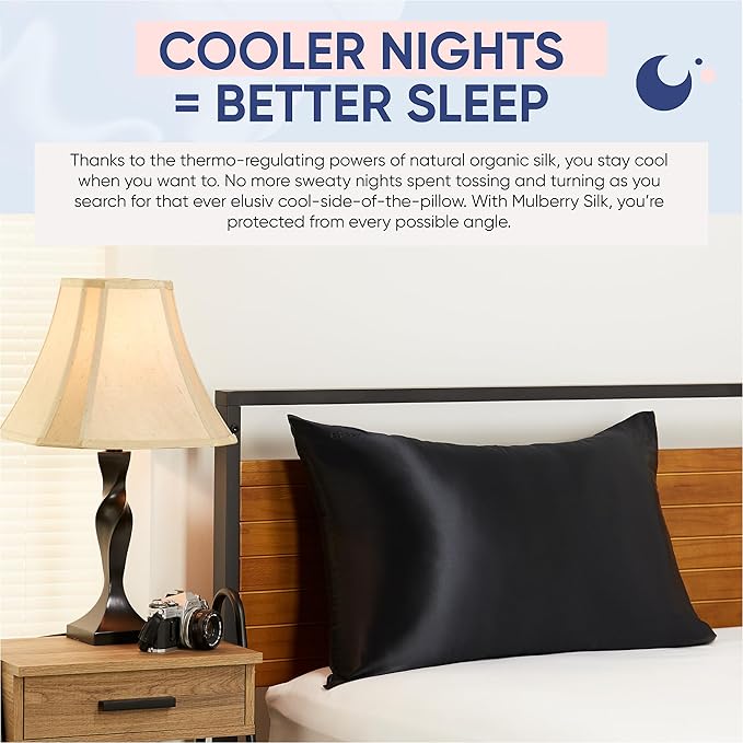 Blissy Silk Pillowcase - 100% Pure Mulberry Silk - 22 Momme 6A High-Grade Fibers - Silk Pillow Cover for Hair & Skin - Regular, Queen & King (Black, Standard)