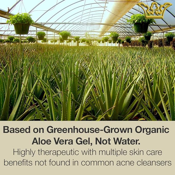 LEROSETT Botanical Acne Cleanser, Foaming Gel Face Wash for Acne Prone, Vegan, Blackheads & Oily Skin 50% Calming Aloe, 2% Salicylic Acid, All Skin Types. Vegan - 6.7oz 60-Day