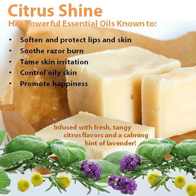 Vintage Tradition Beef Tallow All Purpose Balm – Healing, Hydrating Citrus Oil Skin Care Salve Replaces Body Lotion, Hand Cream, More – Essential Oil,a Olive Oil, and Grass-Fed Tallow, 2 fl. oz.