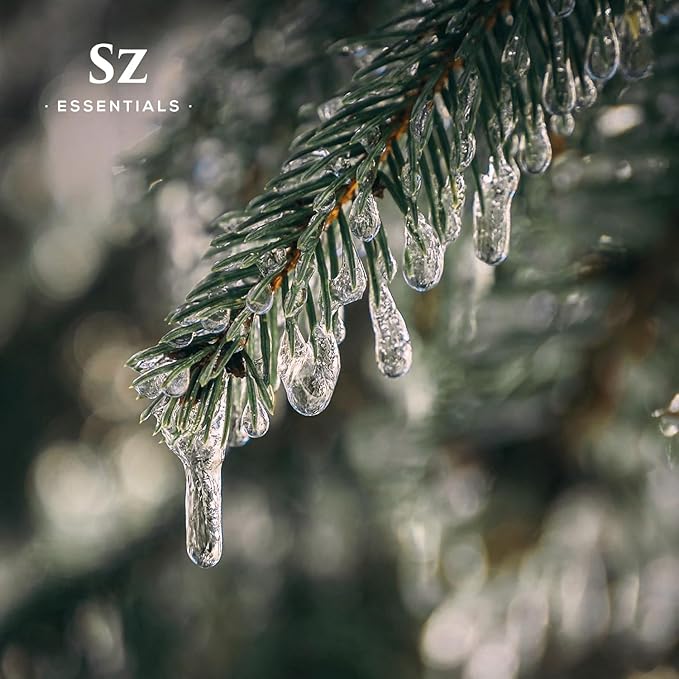 Silver Pine Essential Oil - 100% Pure & Undiluted- Extracted from Pinus Sylvestris - Clean & Fresh Scent with Woody Overtones - Therapeutic Grade & Vegan - 0.17oz (5ml)