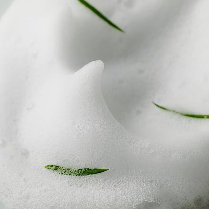 SOME BY MI AHA BHA PHA 30 Days Miracle Acne Clear Foam – Pack of 2 – Korean Acne Face Wash for Smooth & Clear Skin – Salicylic Acid Cleanser for Exfoliation & Sebum Control – Korean Skin Care