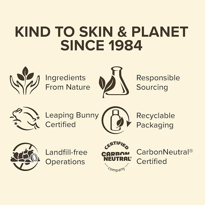 Burt's Bees Chai Tea Lip Balm Blister, 0.15 Ounce